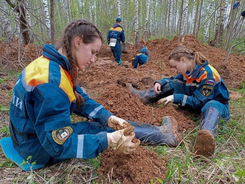 Останки 31 красноармейца нашли в Тверской области