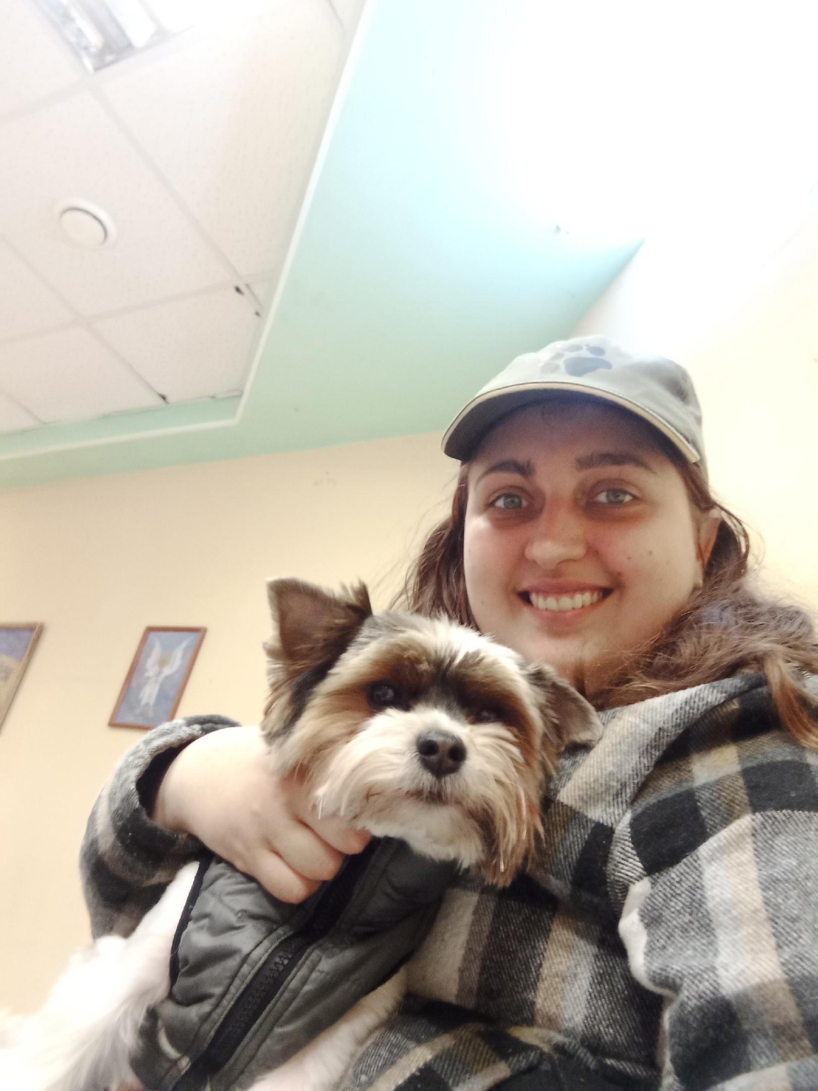 Петербурженку с инвалидностью уволили с работы за спасение собак: законно ли это