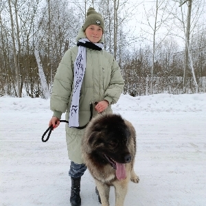 Аватар