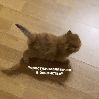 Аватар