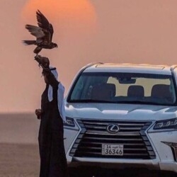 Аватар