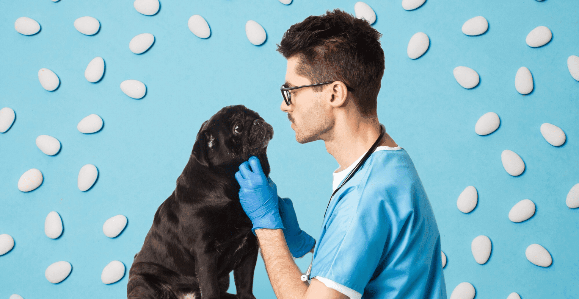 Ветеринарные клиники и необычные услуги: доверять ли?