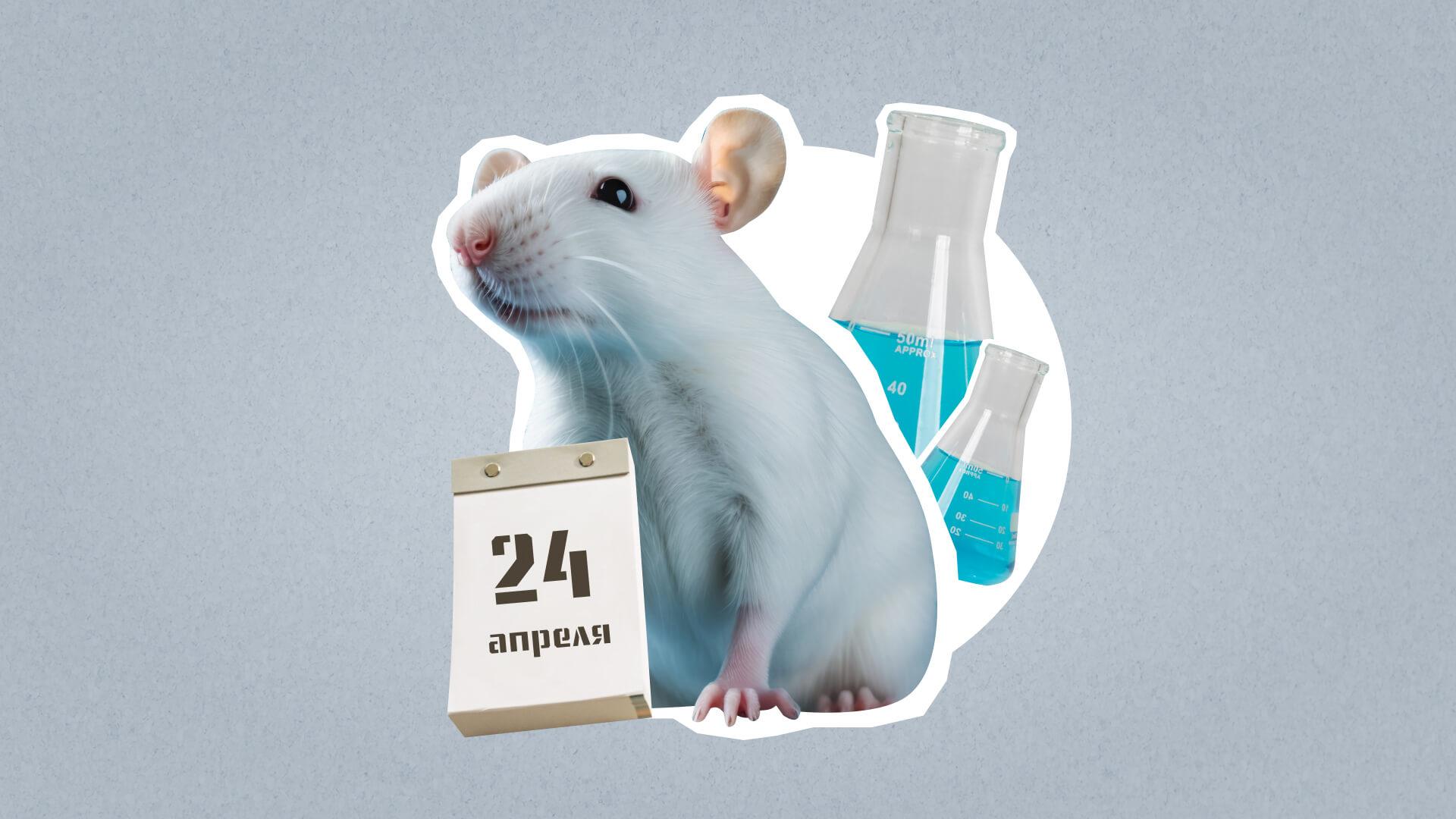 24 апреля – Всемирный день защиты лабораторных животных. Какие ещё праздники сегодня отмечают в России и мире?