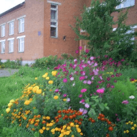 university__photo