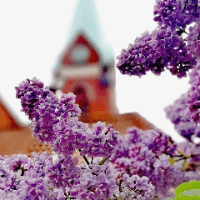 university__photo