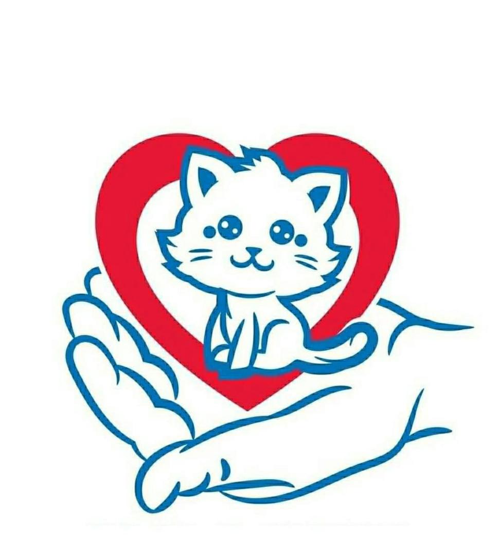 Слоган помощь. Помогите кошкам. Помощь бездомным кошкам. Волонтерство кошки. Благотворительность кошкам.