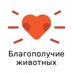 university__photo