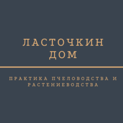 university__photo