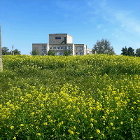 university__photo