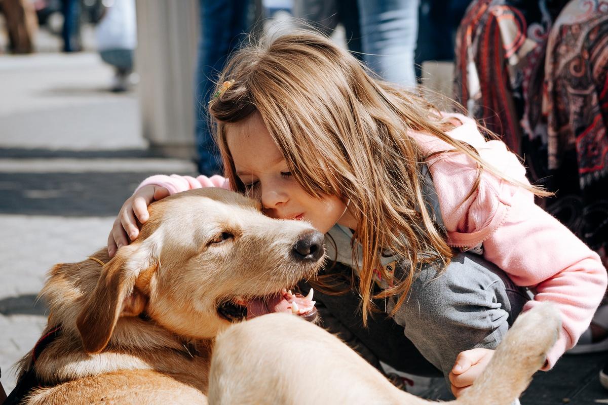 Благотворительный фестиваль «Собаки, которые любят»