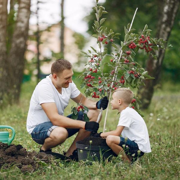 В Коми высадили деревья-символы всех регионов России