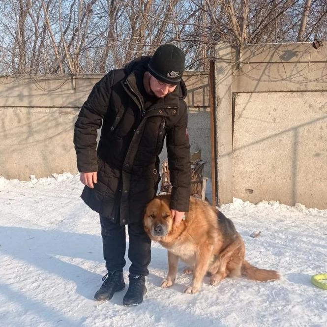 Узнал «любимую» по фото спустя годы: красноярец разрыдался, когда нашёл свою собаку