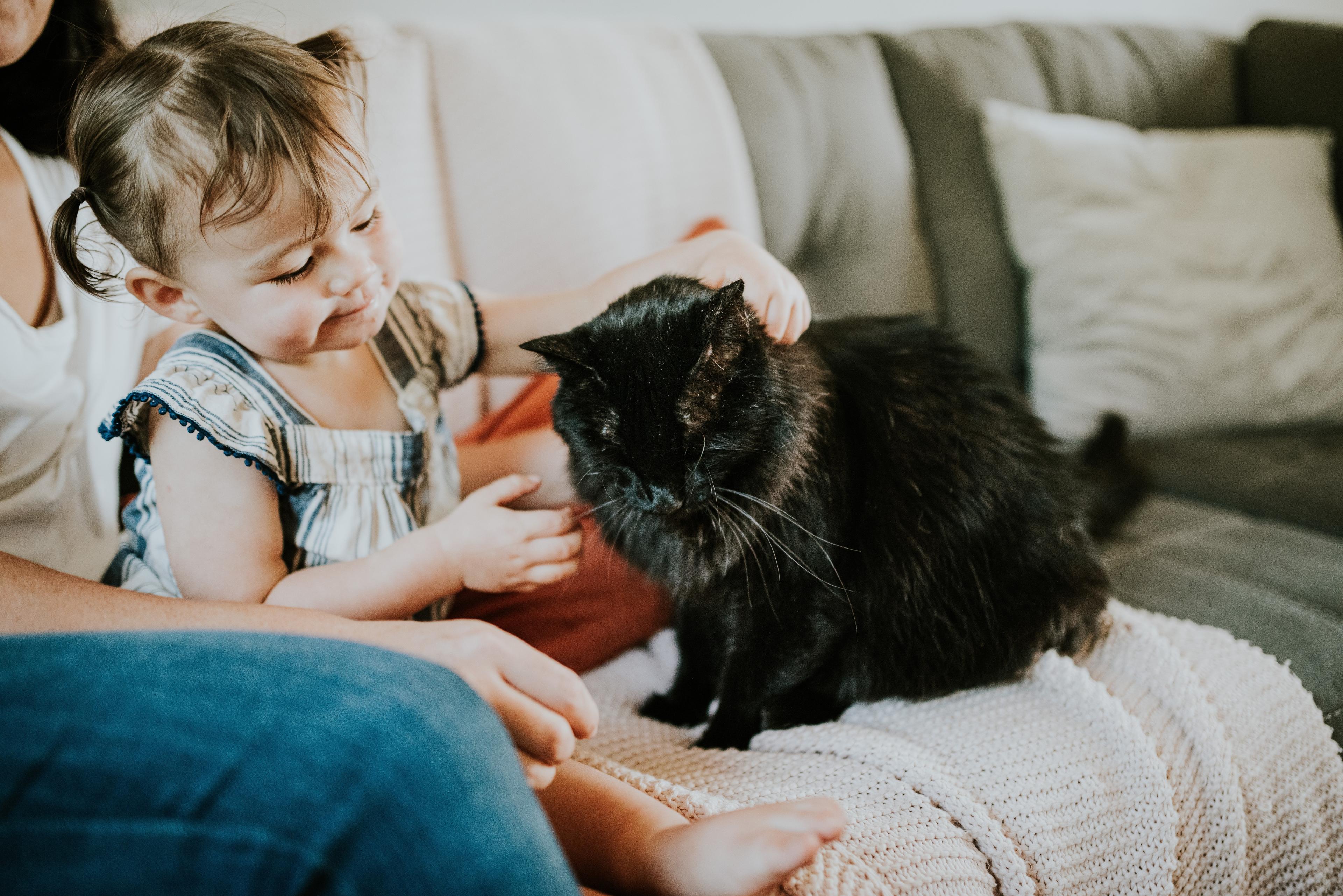Кот или жизнь: аллерголог попросила отказаться от питомцев ради здоровья детей