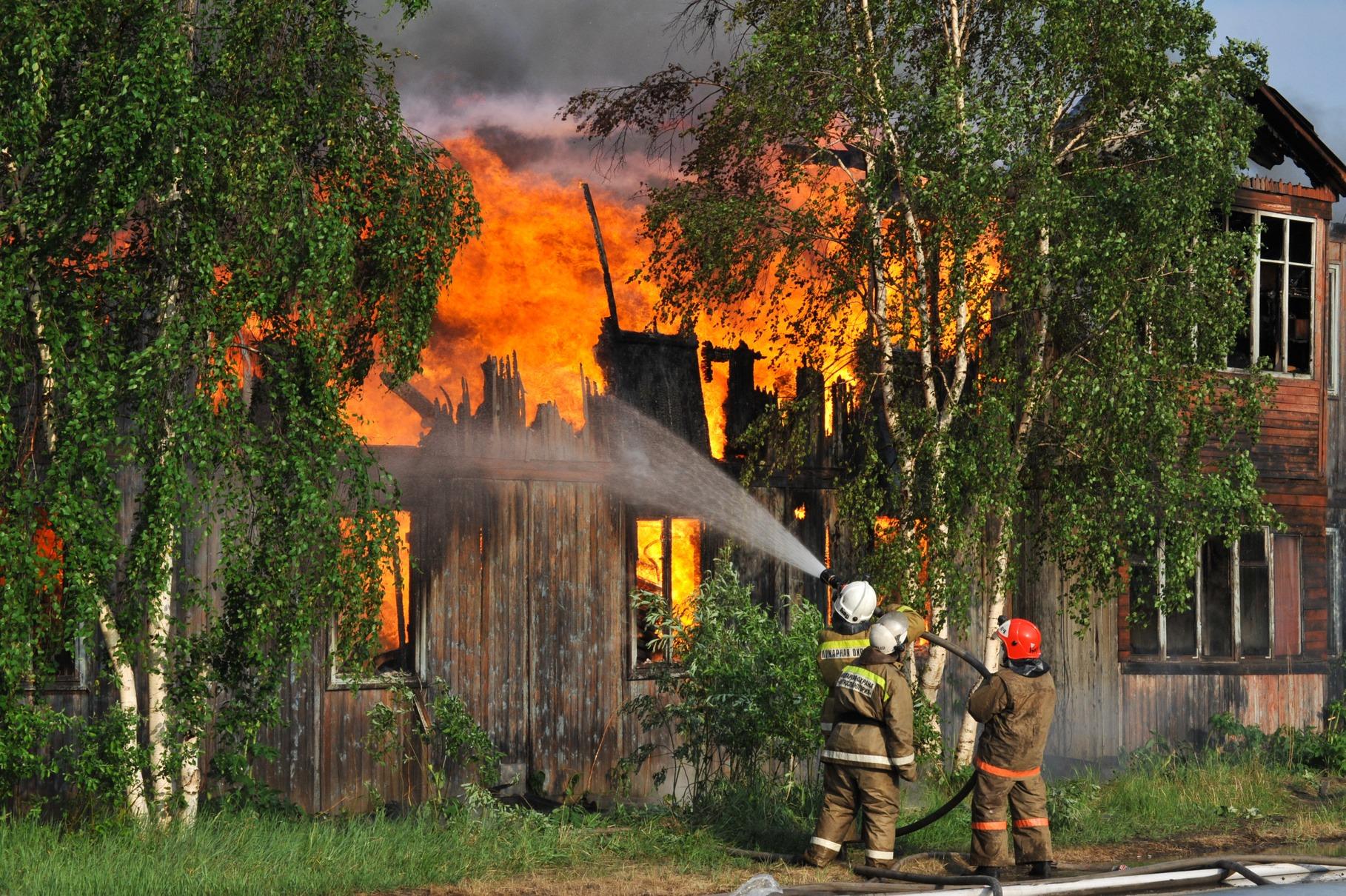 «Это лето не обещает быть простым»: как избежать пожаров в России в этом году