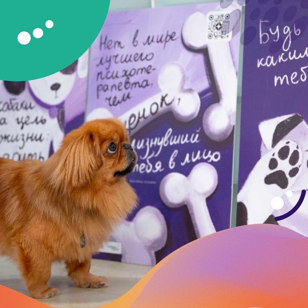 В Москве появятся картины для собак: урбанисты, кинологи, зоопсихологи разработали плакаты для хвостатых