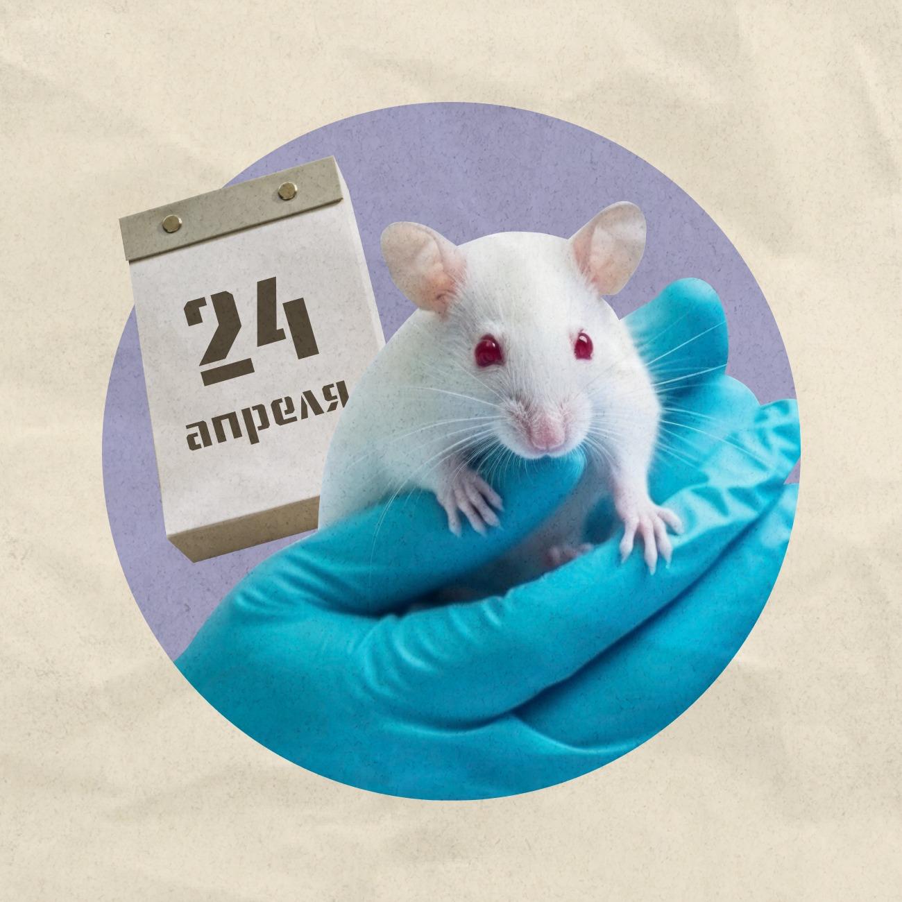 24 апреля – День солидарности молодёжи и защиты лабораторных животных