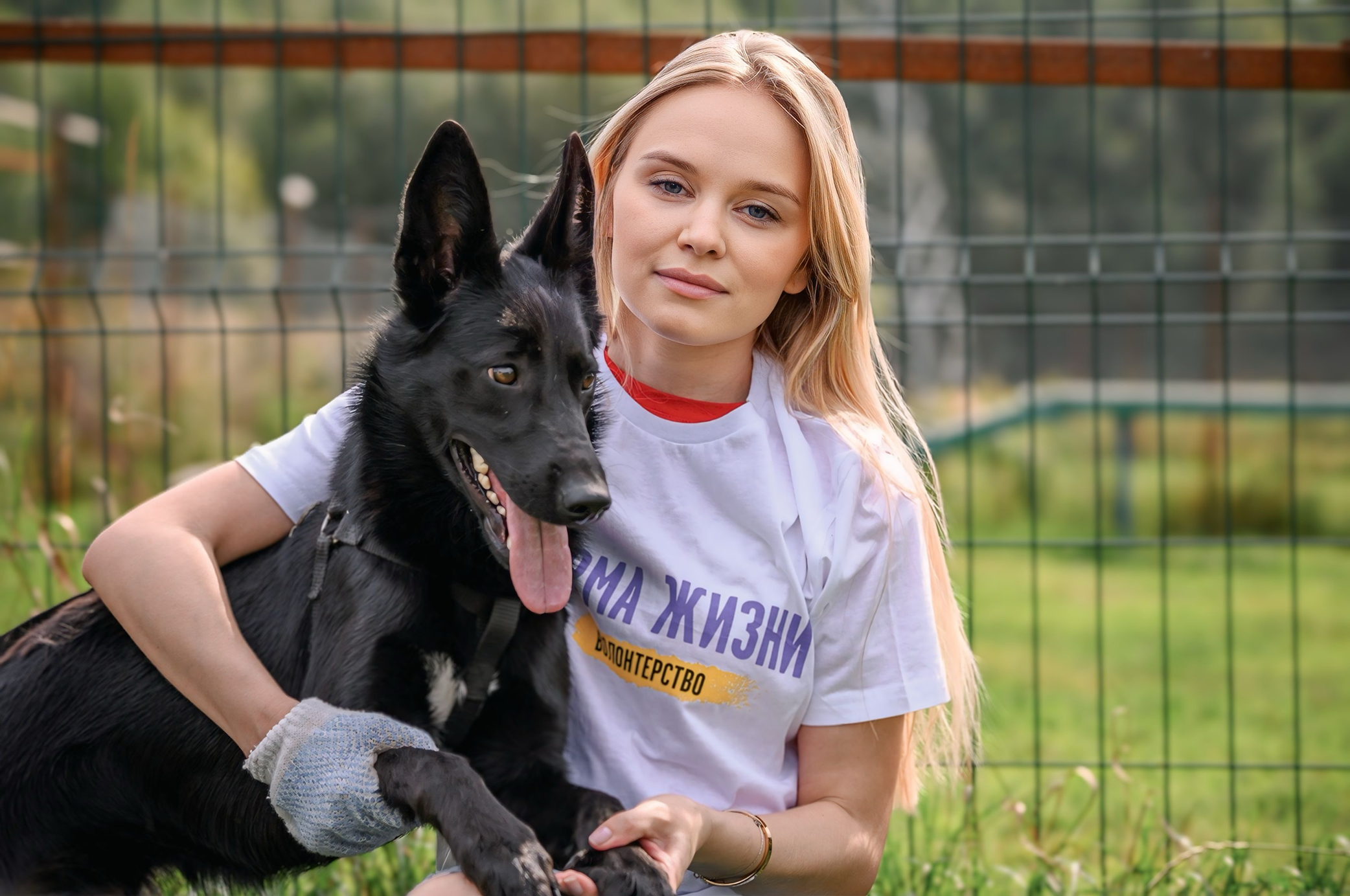 Ответственность